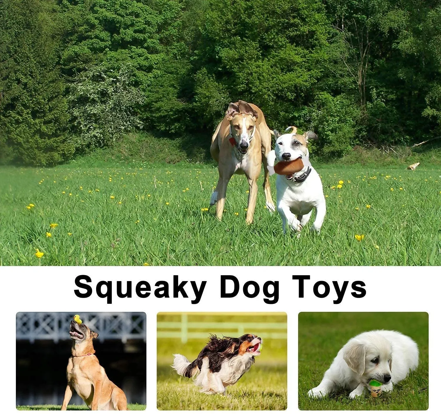 14 Pack Dog Squeaky Toys