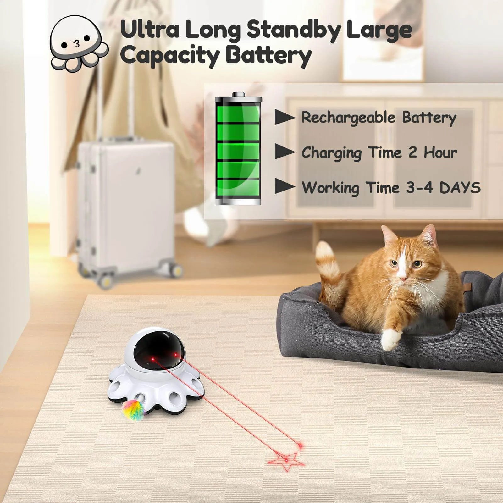 2-in-1 Cat Laser Toys