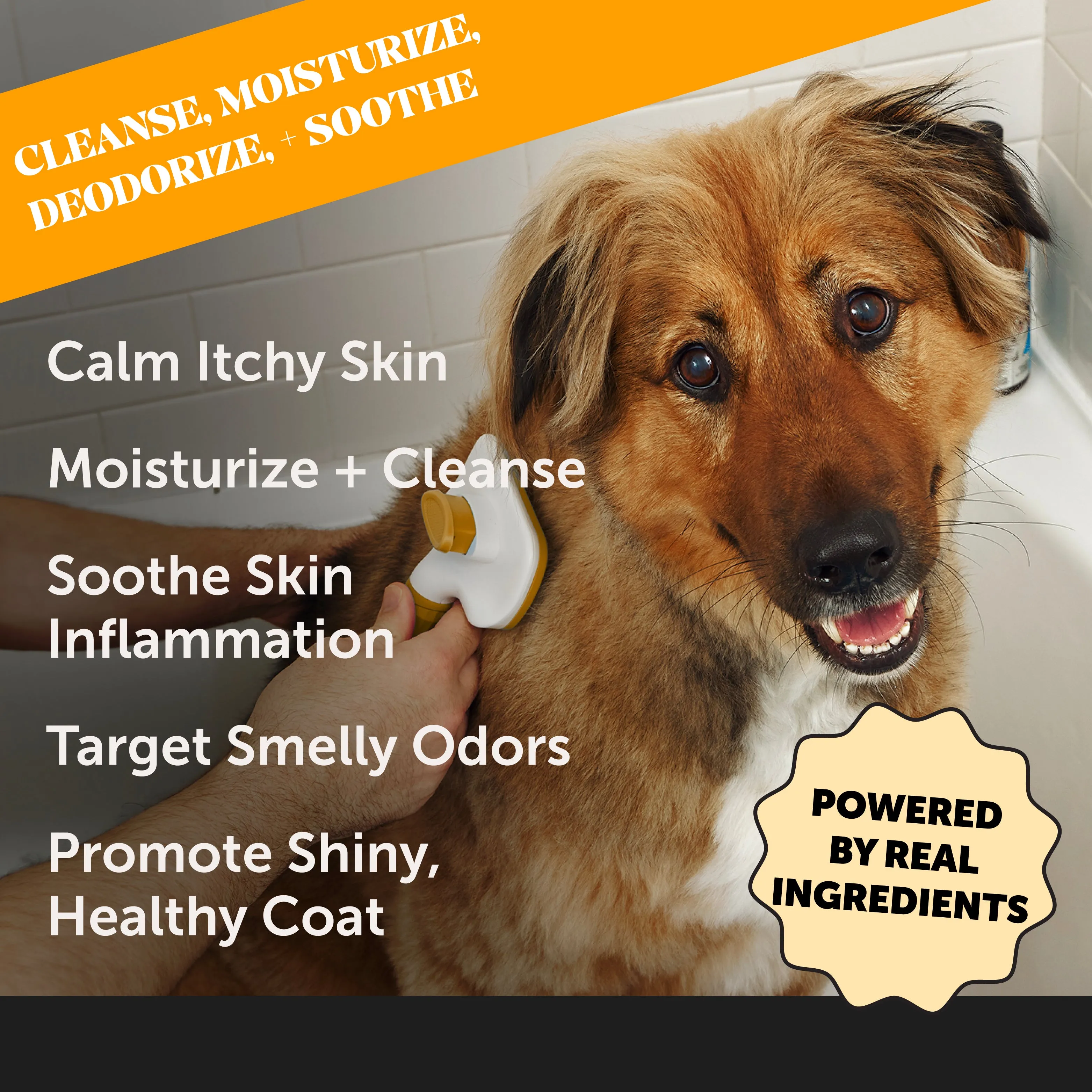 Allergy Anti-Itch Shampoo 3-Pack (48 Ounce)