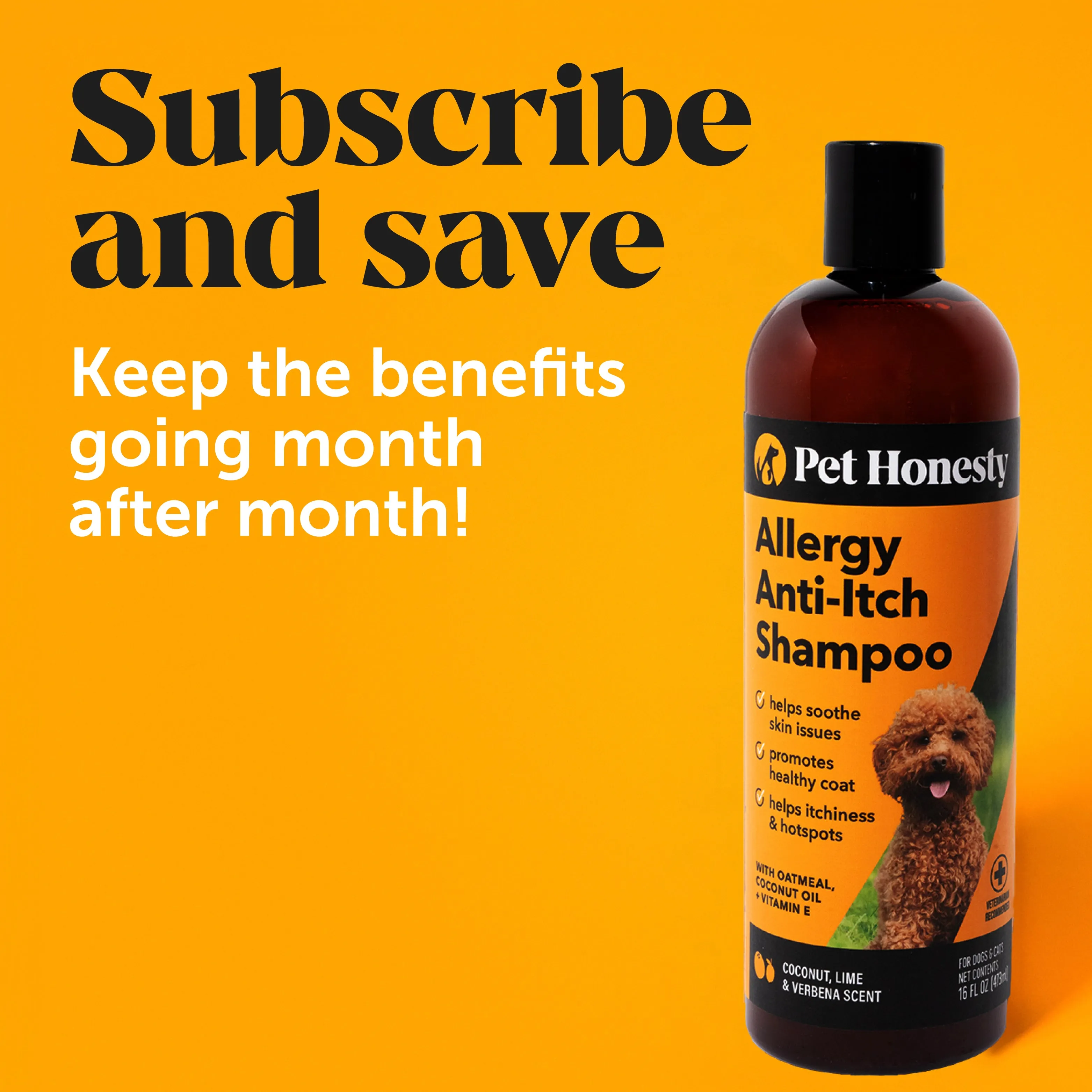 Allergy Anti-Itch Shampoo 3-Pack (48 Ounce)