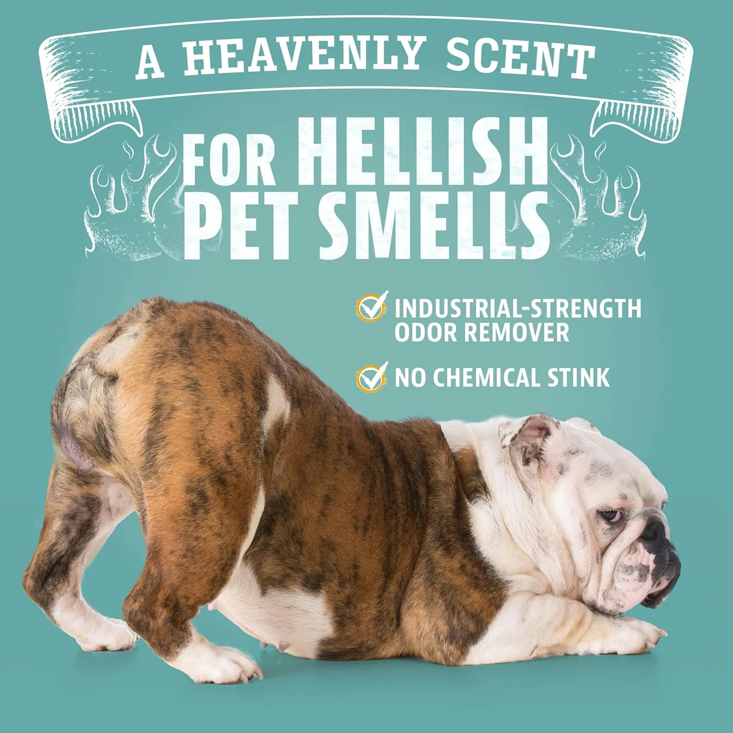 Angry Orange Pet Odor Eliminator for Dog and Cat Urine, Carpet Stains, and Strong Smells  Citrus Cleaner with Natural Orange Oil  1 Gallon