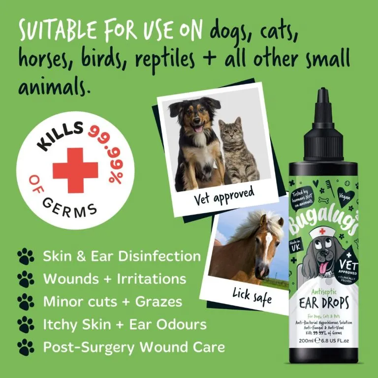 ANTISEPTIC EAR DROPS 200ML
