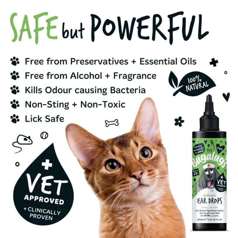 ANTISEPTIC EAR DROPS 200ML
