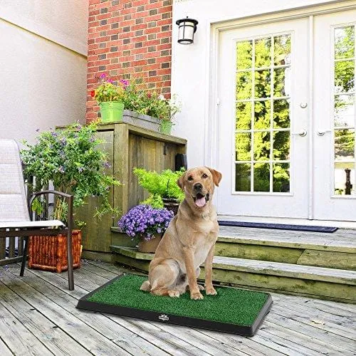 Artificial Grass Bathroom Mat for Puppies and Small Pets- Portable Potty Trainer for Indoor and Outdoor Use by PETMAKER- Puppy Essentials, 20" x 25"