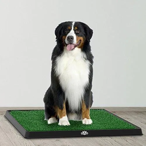 Artificial Grass Bathroom Mat for Puppies and Small Pets- Portable Potty Trainer for Indoor and Outdoor Use by PETMAKER- Puppy Essentials, 20" x 25"