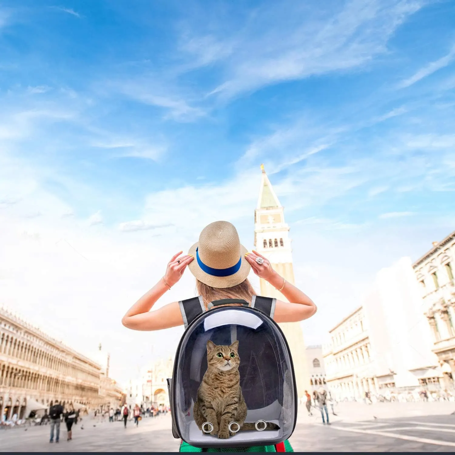 Backpack Carrier/Bubble Carrying Bag for Small Medium Dogs Cats, Space Capsule Pet Carrier for Hiking, Travel, Airline Approved- Black