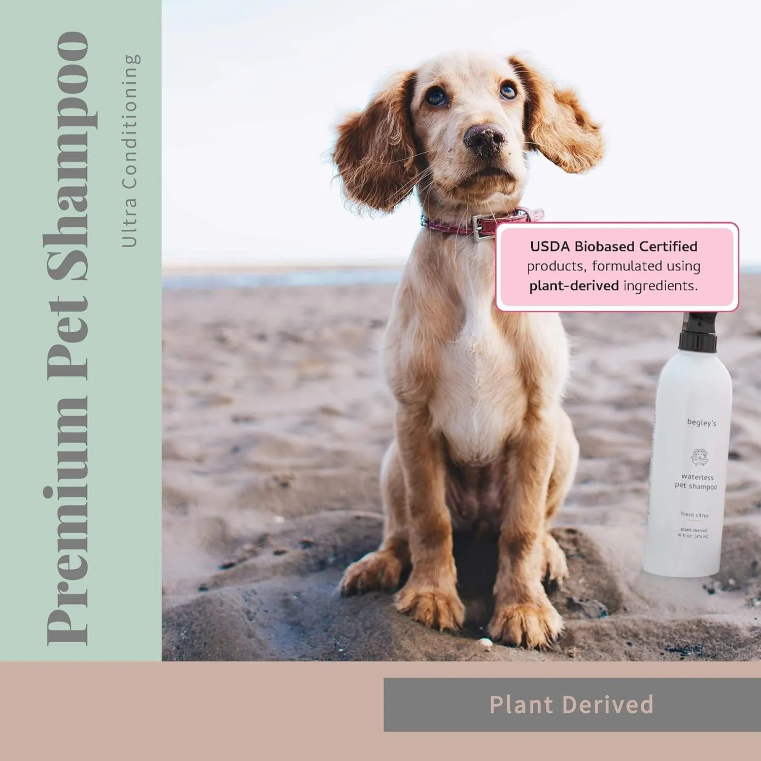 Begleys No Rinse Waterless Pet Shampoo, Bathless Cleaning, Deodorizing, and Odor Removal for a Shiny, Fresh Smelling Coat - Effective for Dogs, Puppies, and Cats - Fresh Oatmeal Mango Scent
