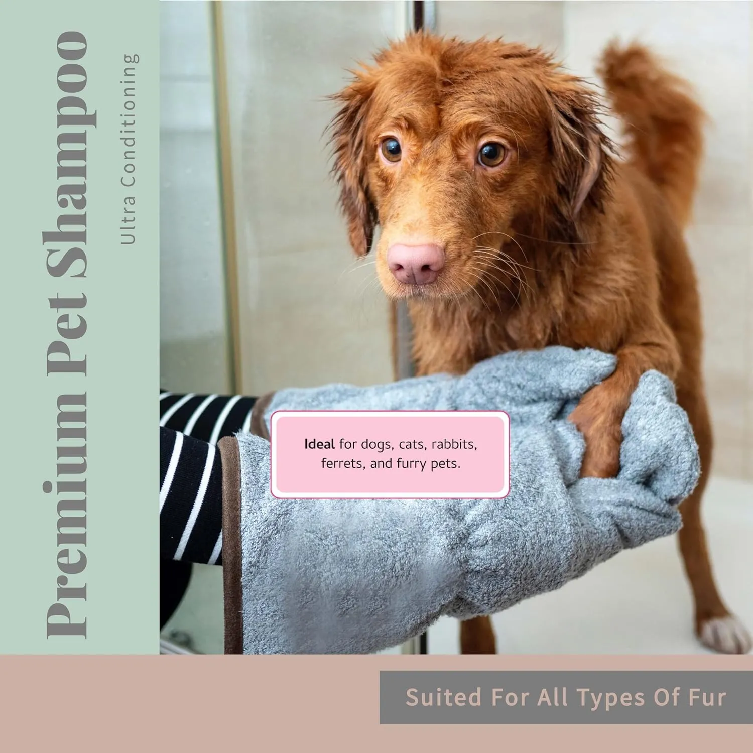 Begleys No Rinse Waterless Pet Shampoo, Bathless Cleaning, Deodorizing, and Odor Removal for a Shiny, Fresh Smelling Coat - Effective for Dogs, Puppies, and Cats - Fresh Oatmeal Mango Scent