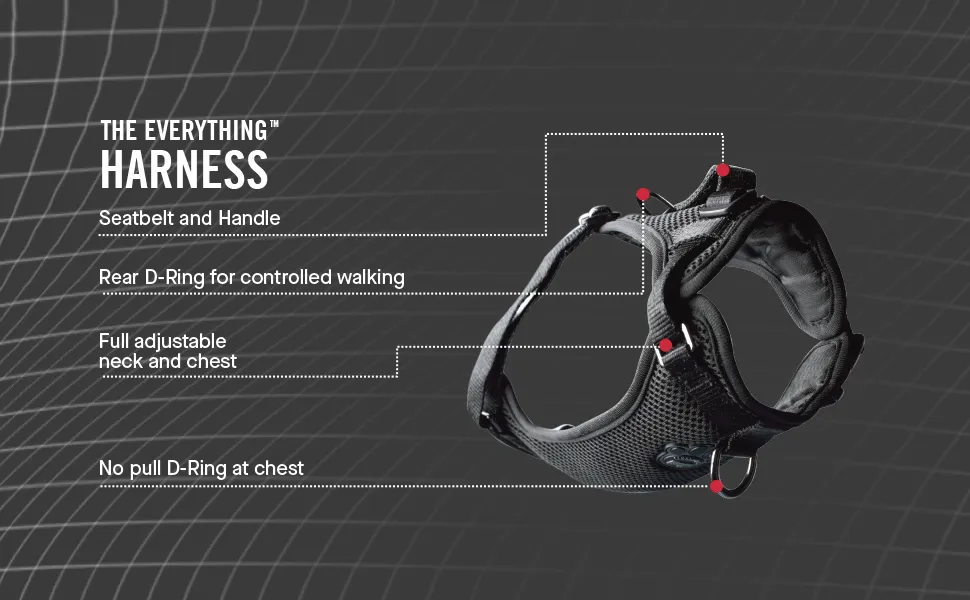 Canada Pooch - Everything Harness - Black