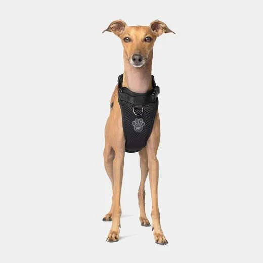 Canada Pooch - Everything Harness - Black