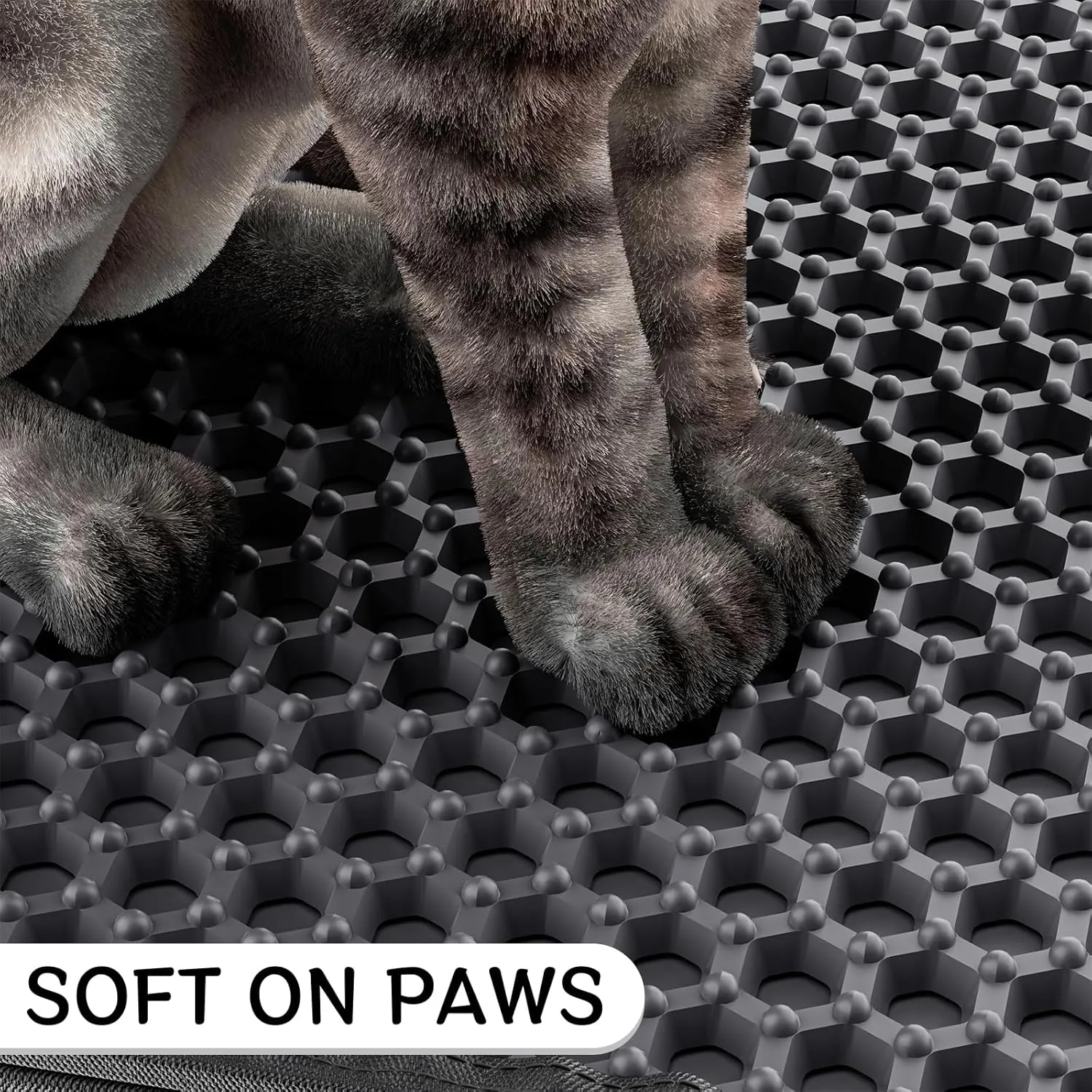 Cat Litter Mat - Small 24'' x 15'' Trapping Mat, Easy to Clean, Waterproof, Non-Slip Floor Mat for Litter Boxes - Black