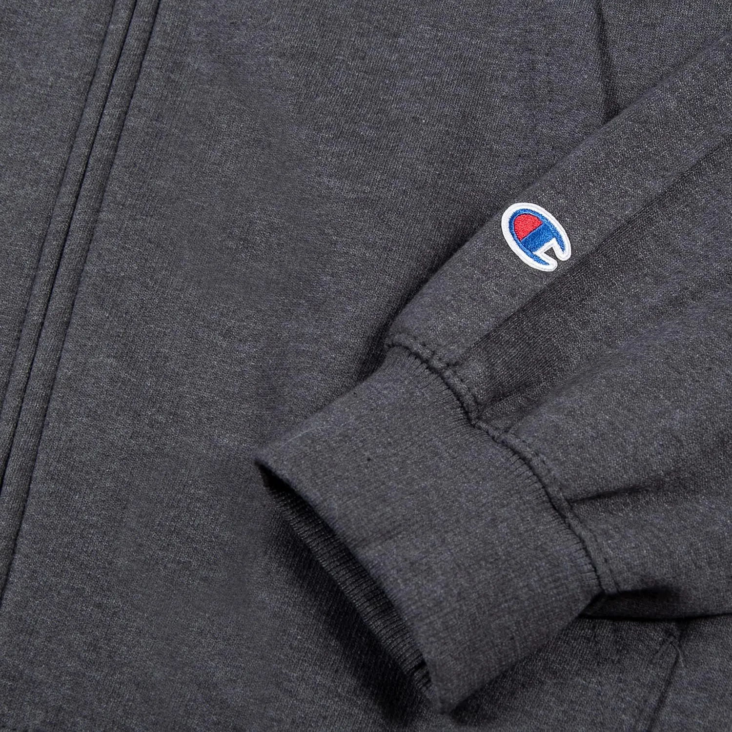Champion Big and Tall Zip Hoodies for Men  Mens Heavyweight Zip Hoodie Jacket