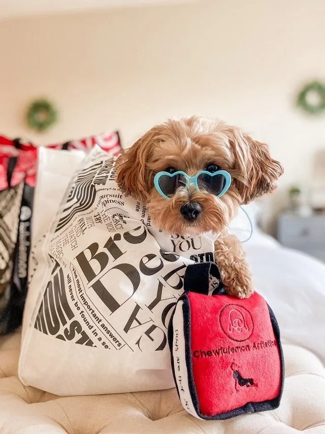 Chewlulemon Bag Handbag Plush Toy
