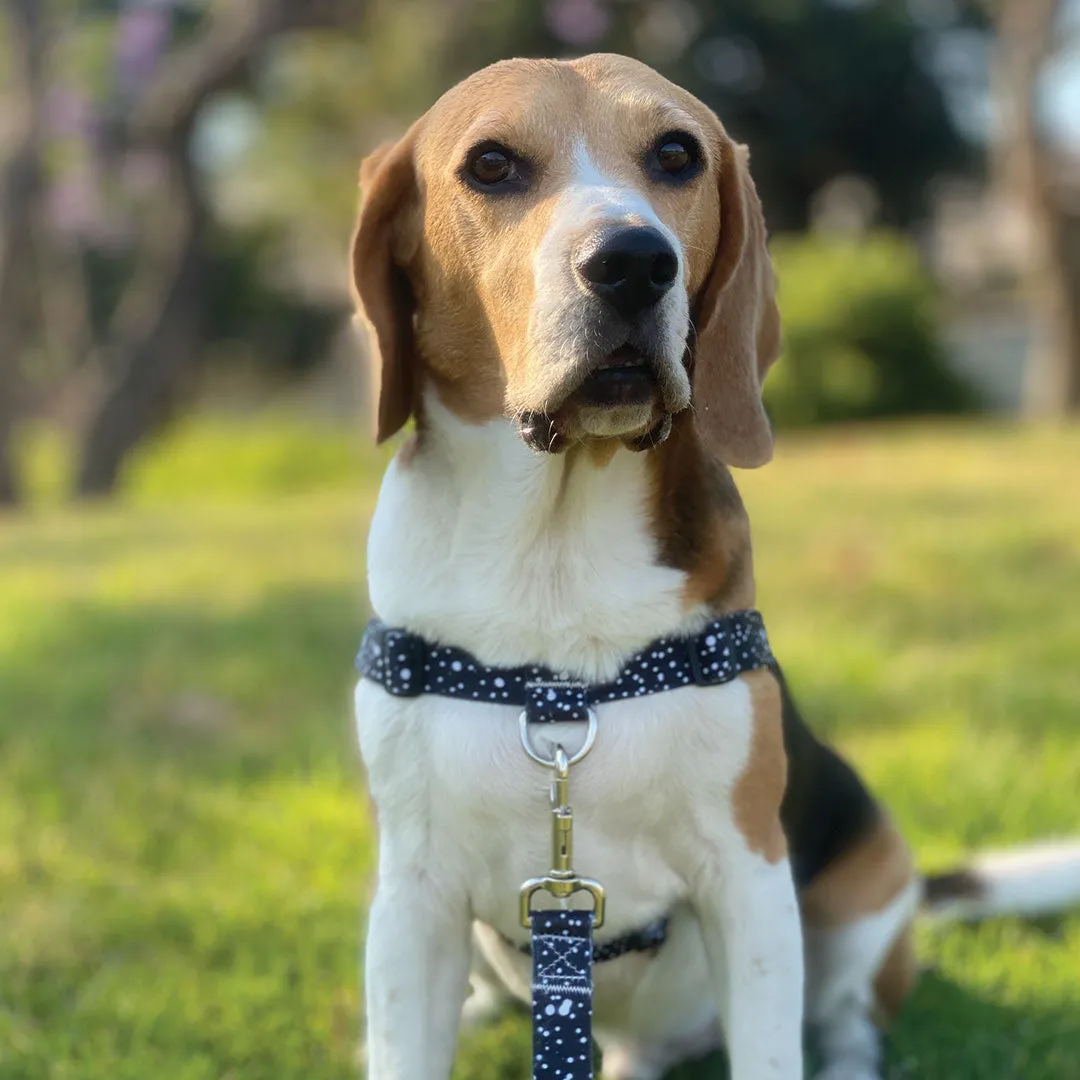 [Consolidated] OG No-Pull Training Harness