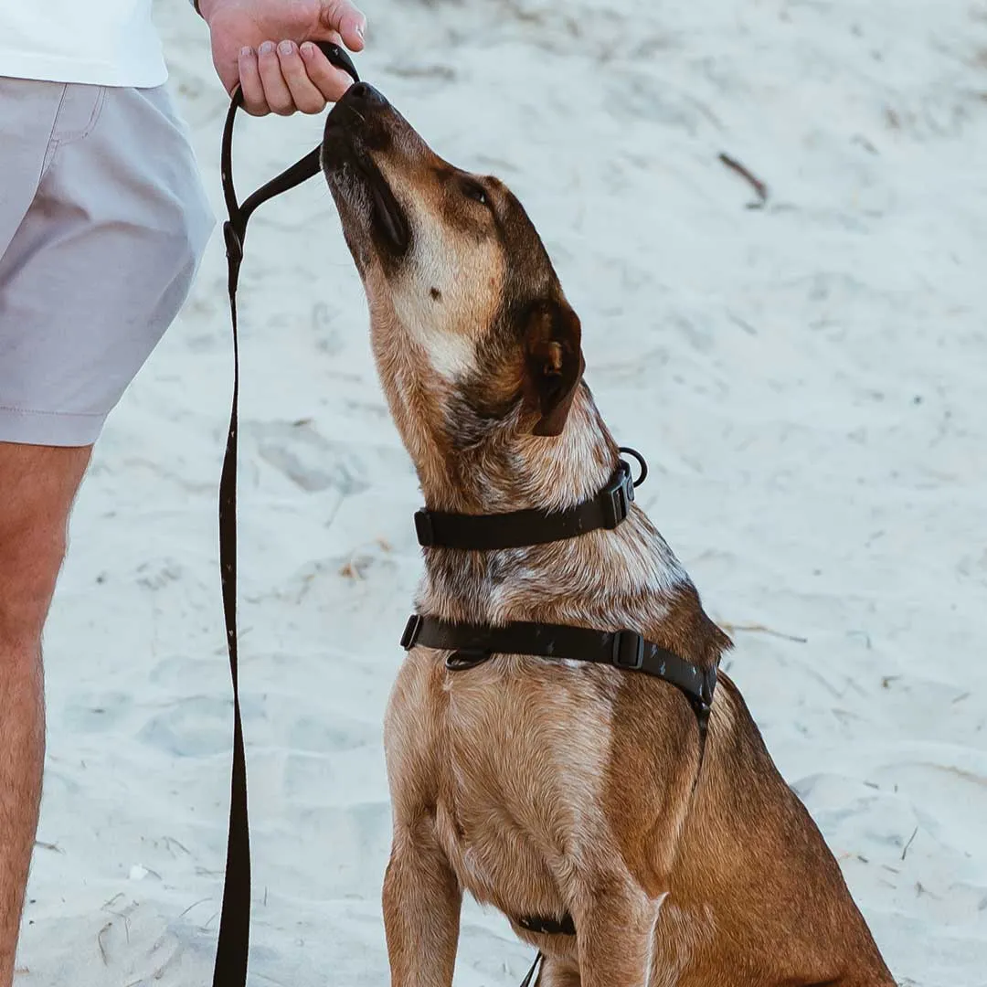 [Consolidated] OG No-Pull Training Harness
