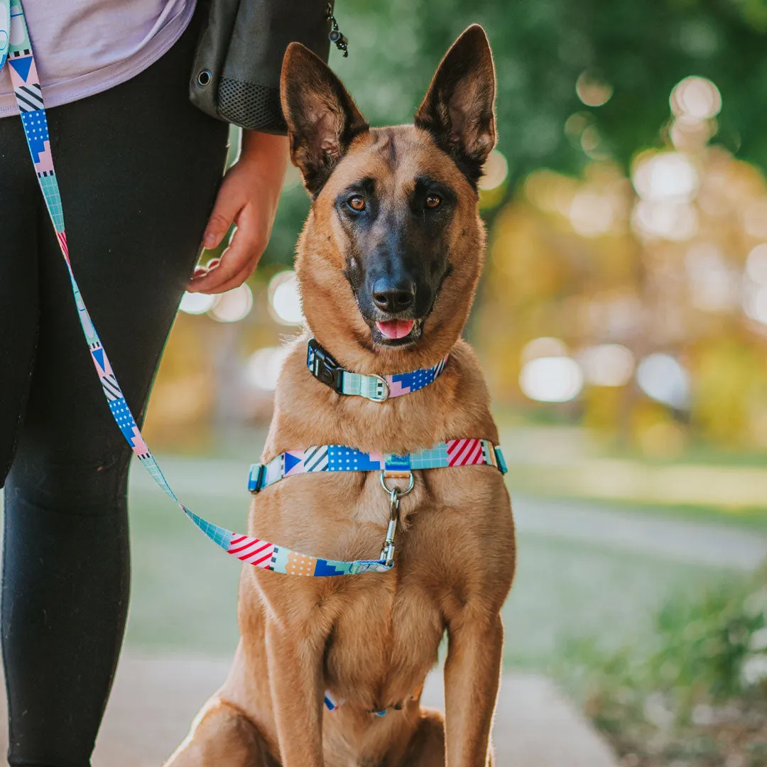 [Consolidated] OG No-Pull Training Harness
