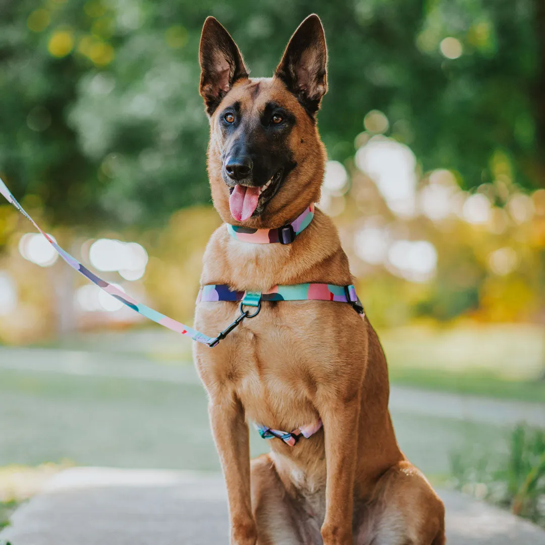 [Consolidated] OG No-Pull Training Harness