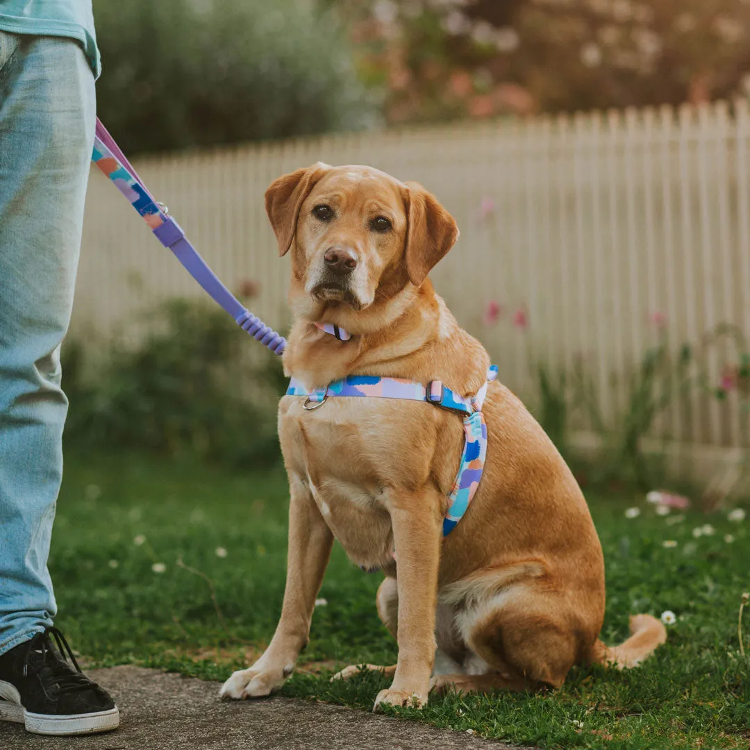 [Consolidated] OG No-Pull Training Harness
