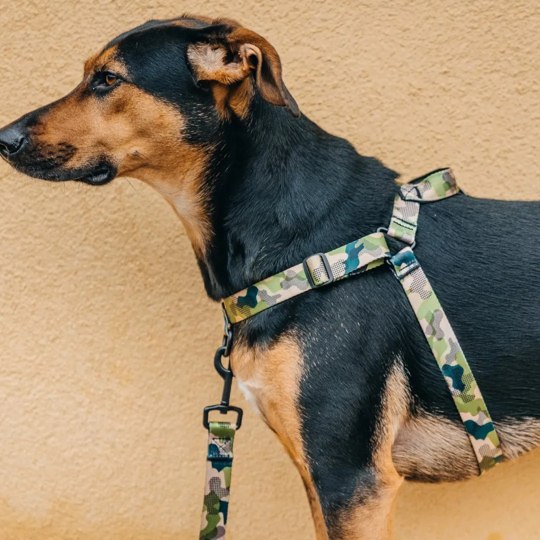 [Consolidated] OG No-Pull Training Harness