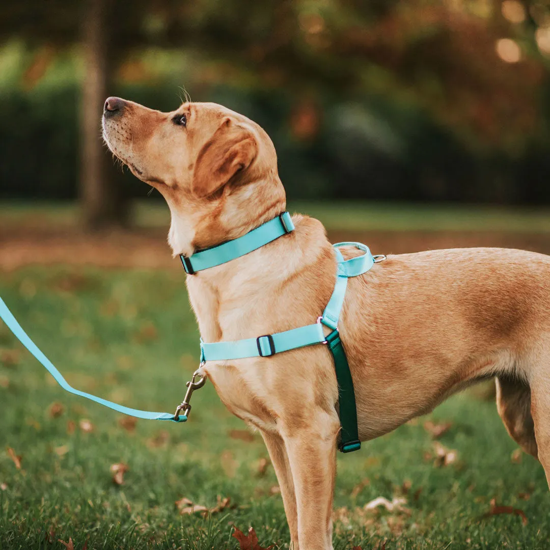 [Consolidated] OG No-Pull Training Harness