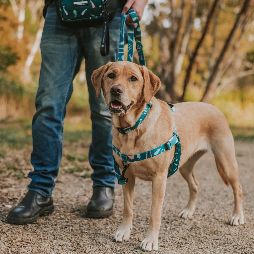 [Consolidated] OG No-Pull Training Harness