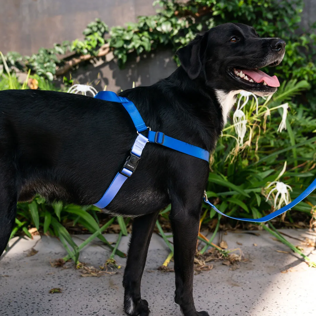 [Consolidated] OG No-Pull Training Harness