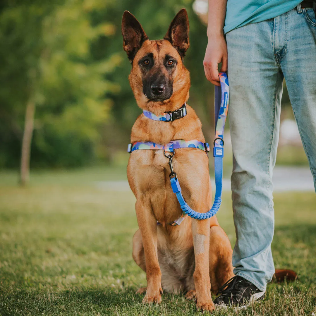 [Consolidated] OG No-Pull Training Harness