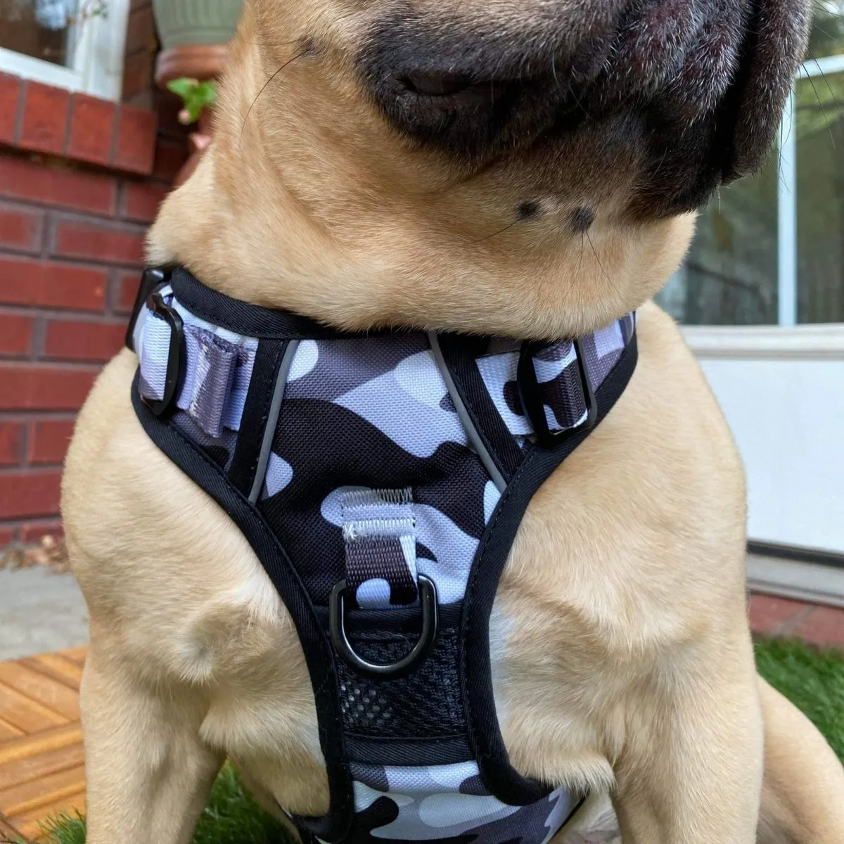 Cool Camo No Pull Harness Bundle