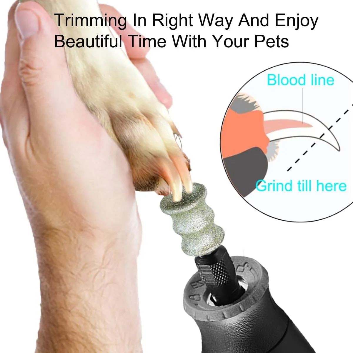 Dog Nail Grinder and Trimmer - Dog Nail Grooming Tool for Dremel - 1/8" Pet Nail Grinder Attachment for Dogs Cats and Small Animals (2L)