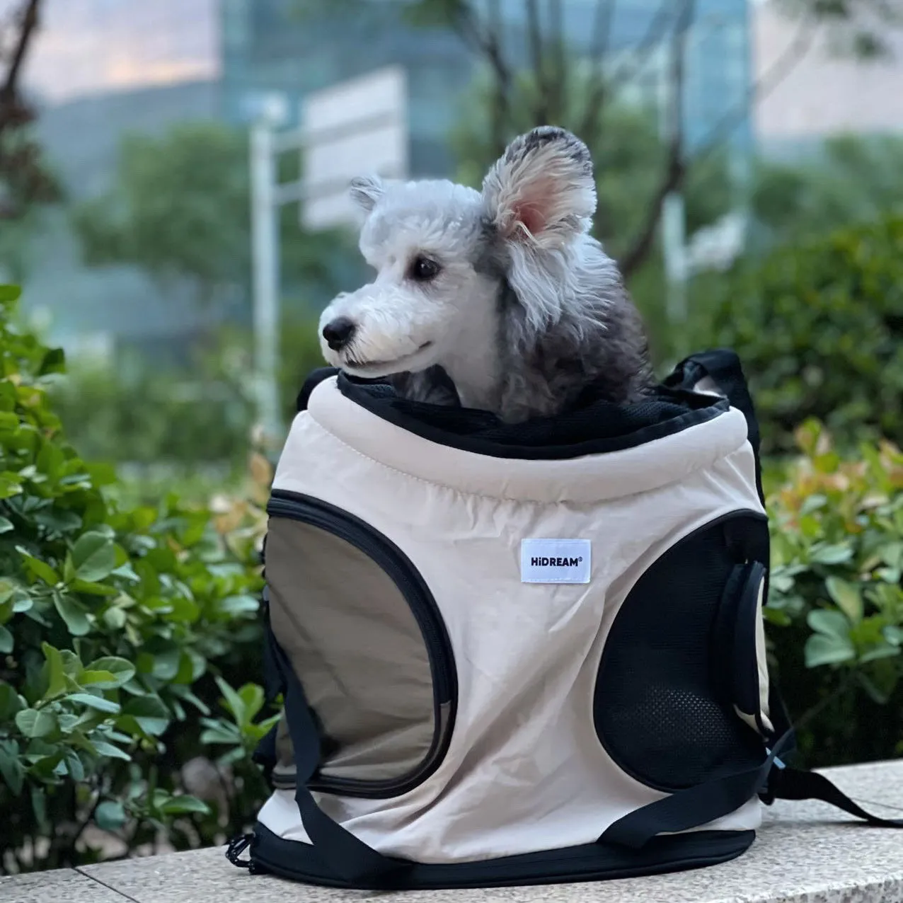 Double Straps Pet Front Carrier Bag