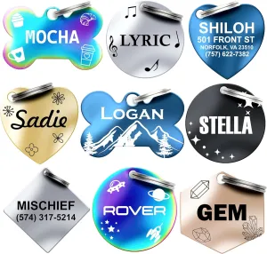 Dr. Fremont's Stainless Steel Custom Pet ID Personalized Engraved Identification Cat and Dog Tags with Custom Text, Many Shapes Including Bone, Heart, Circle (Classic Stainless Steel, Small Circle)