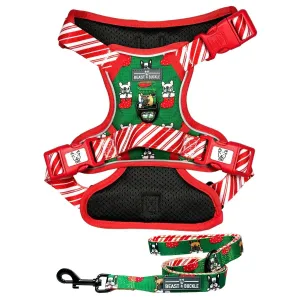 Festive Frenchies No Pull Harness Bundle