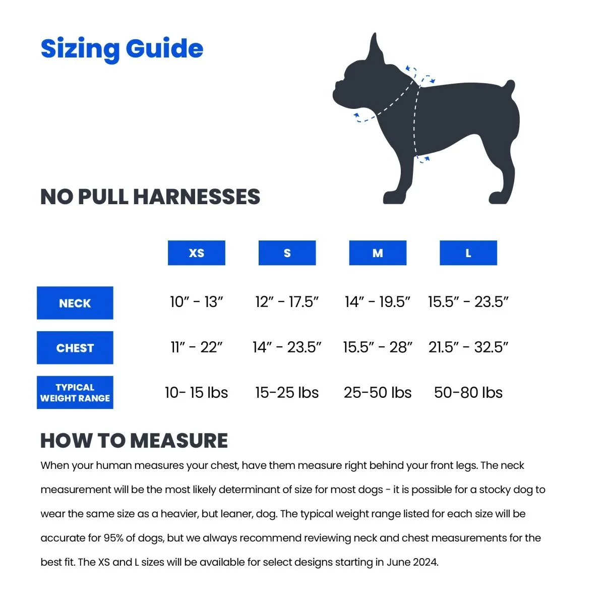 Festive Frenchies No Pull Harness Bundle