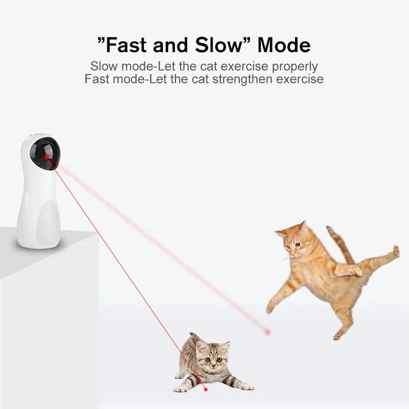 Funny Cat Toy