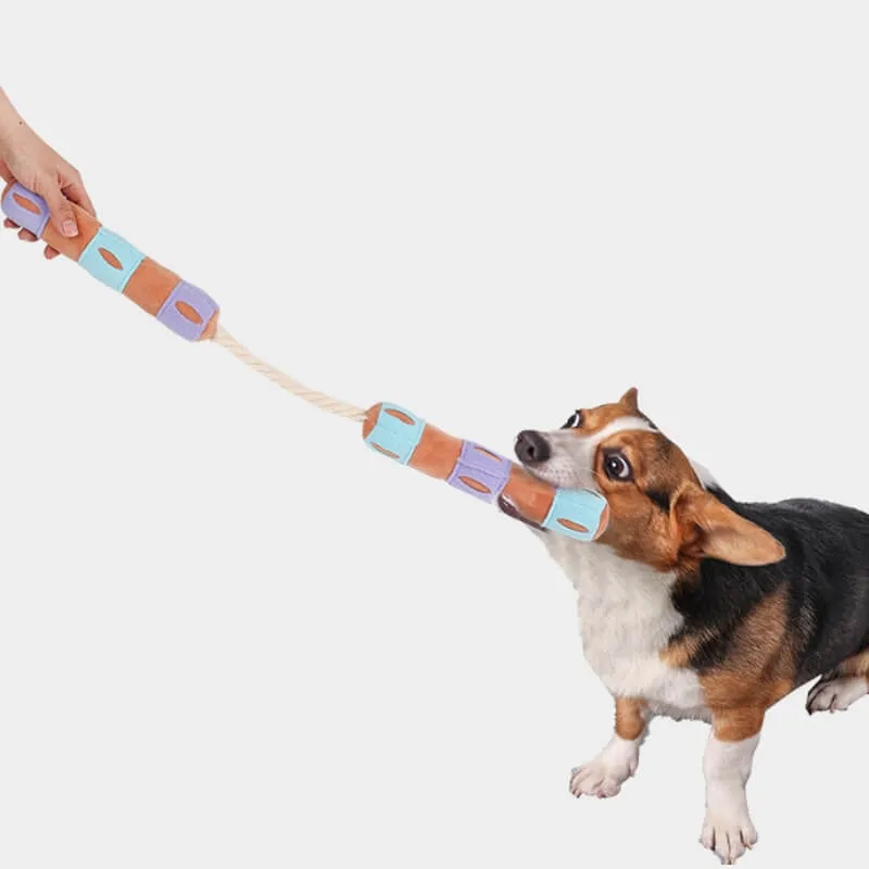 Funny Interactive Puzzle Treat Dispenser Squeaky Dog Toy
