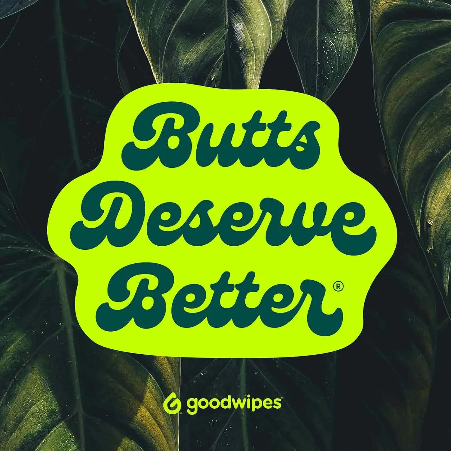 Goodwipes Flushable Butt Wipes Made with Vitamin E & Aloe - Soft & Gentle Wet Wipe Dispenser for Home Use, Septic & Sewer Safe - Largest Adult Toilet Towelettes - Variety Pack, 240 Count (4 Packs)