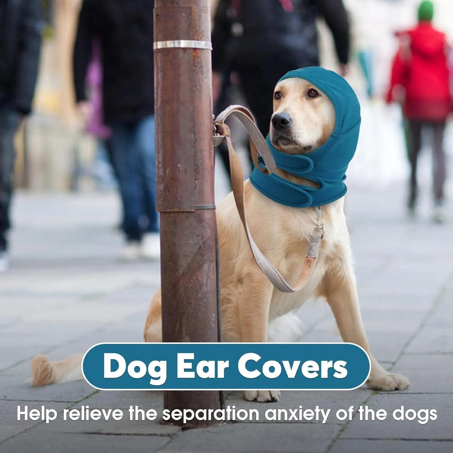 IDOMIK Dog Ear Cover for Anxiety Relief, Adjustable Dog Calming Hood for Grooming Bath Drying, No Shake Pet Head Ear Wrap for Hematomas Fireworks Thunderstorms, Doggy Ear Muffs Noise Protection,Blue,M