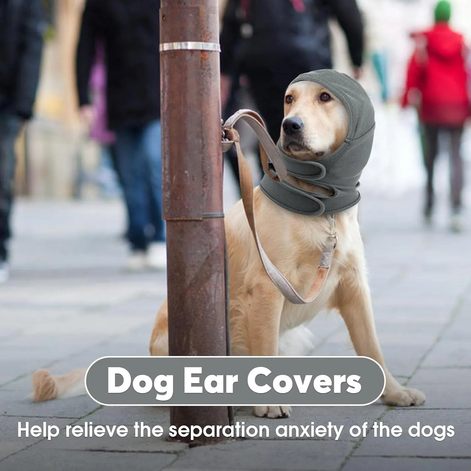 IDOMIK Dog Ear Cover for Anxiety Relief, Adjustable Dog Calming Hood for Grooming Bath Drying, No Shake Pet Head Ear Wrap for Hematomas Fireworks Thunderstorms, Doggy Ear Muffs Noise Protection,Grey,M