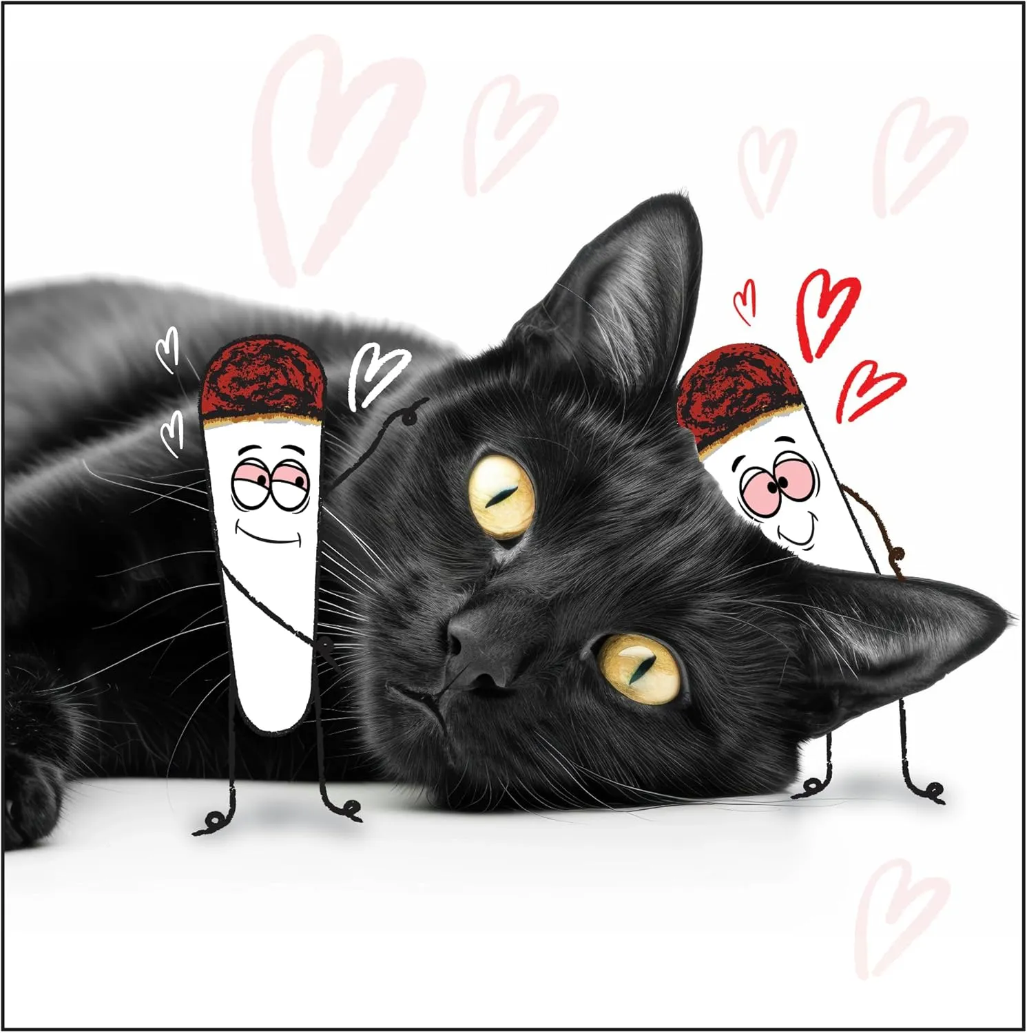 Kittie Doobs Adventure Toys - Funny Catnip Joints for Cats with Dried and Organic High Potency Catnip - Love Theme
