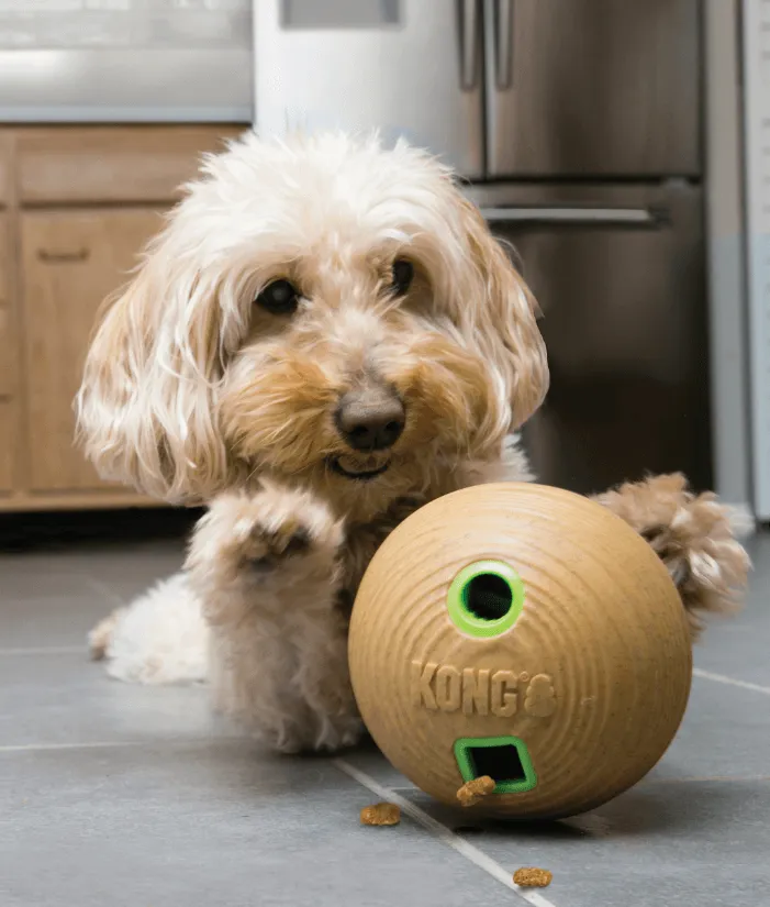 Kong - Bamboo Feeder Dumbbell