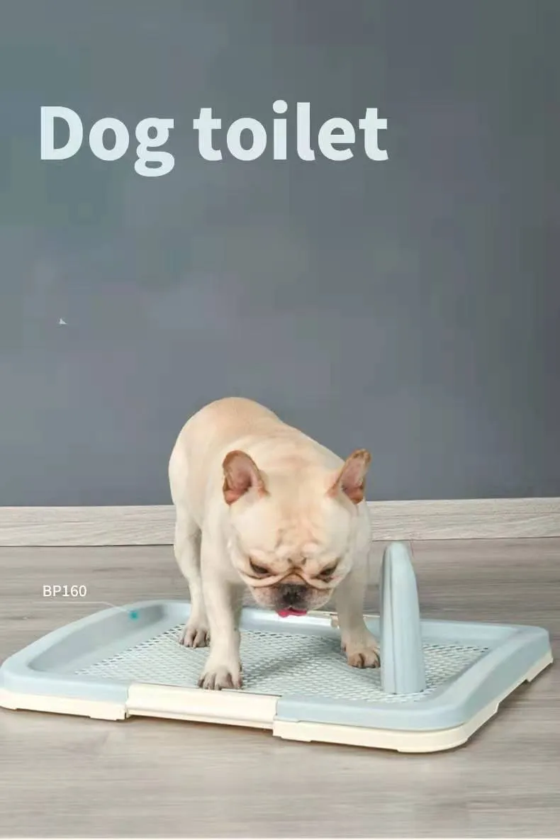 Large Portable Dog Potty Training Tray, Grid Layer, 63x48.5cm - YES4PETS