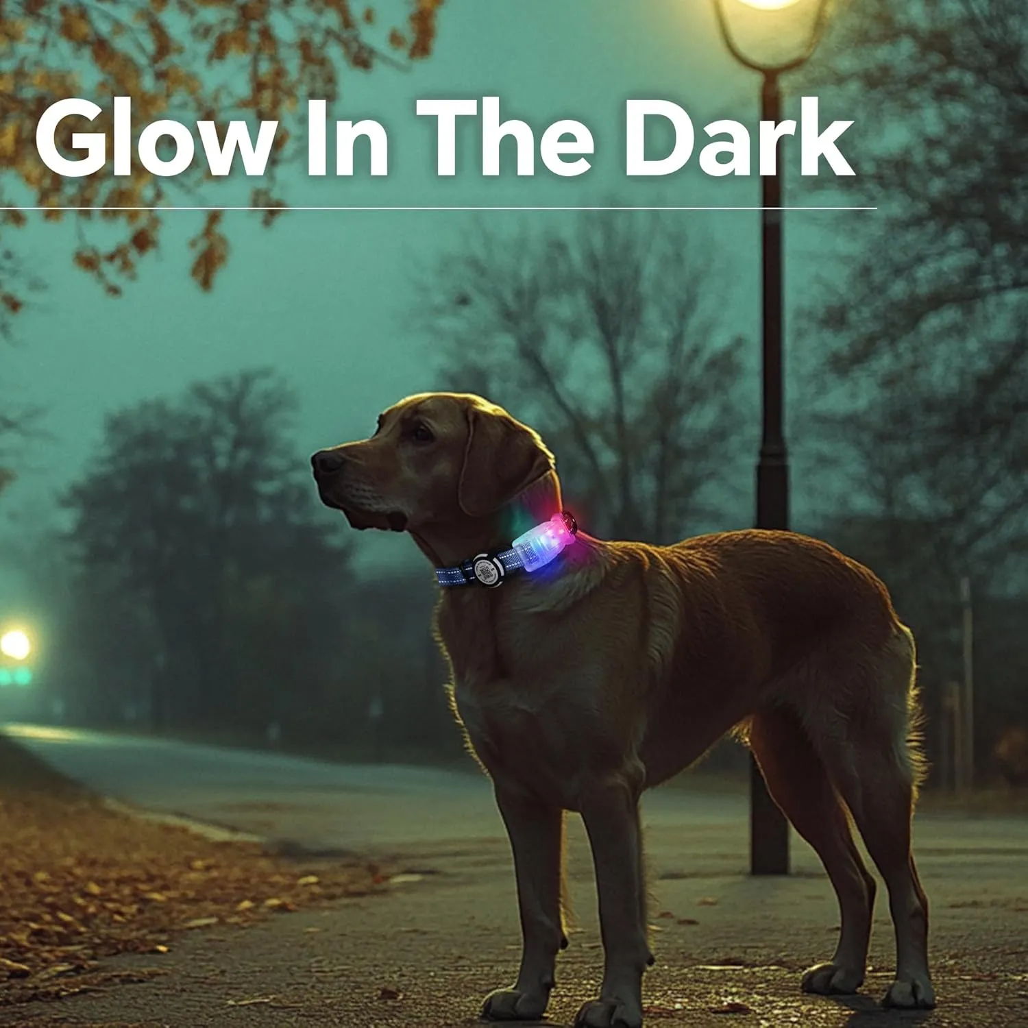 LED Smart QR Code Dog Collar - Lost at Night Collar Showing Details of Owner and pet - Durable, Adjustable, Soft - Rose red Suitable for Small, Medium and Large Dogs