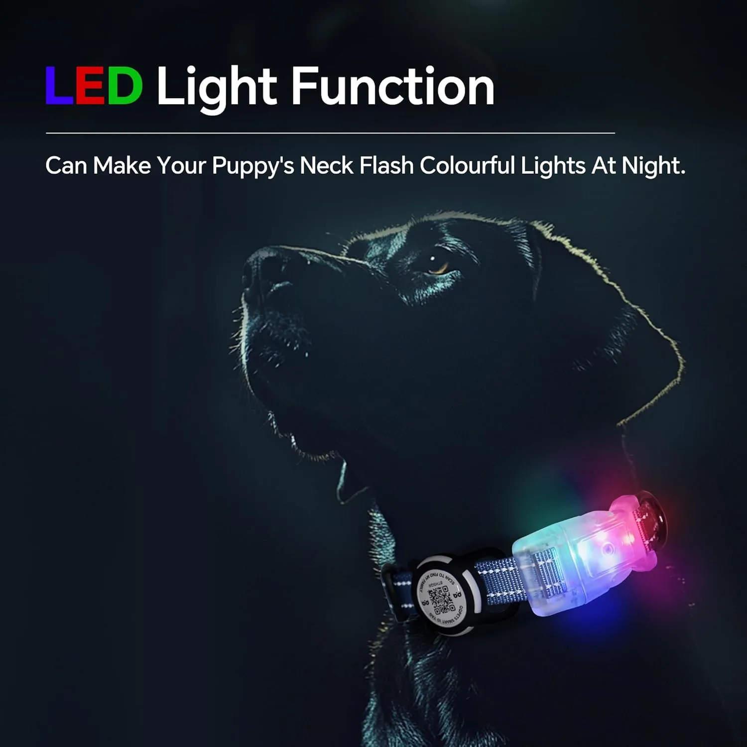LED Smart QR Code Dog Collar - Lost at Night Collar Showing Details of Owner and pet - Durable, Adjustable, Soft - Rose red Suitable for Small, Medium and Large Dogs
