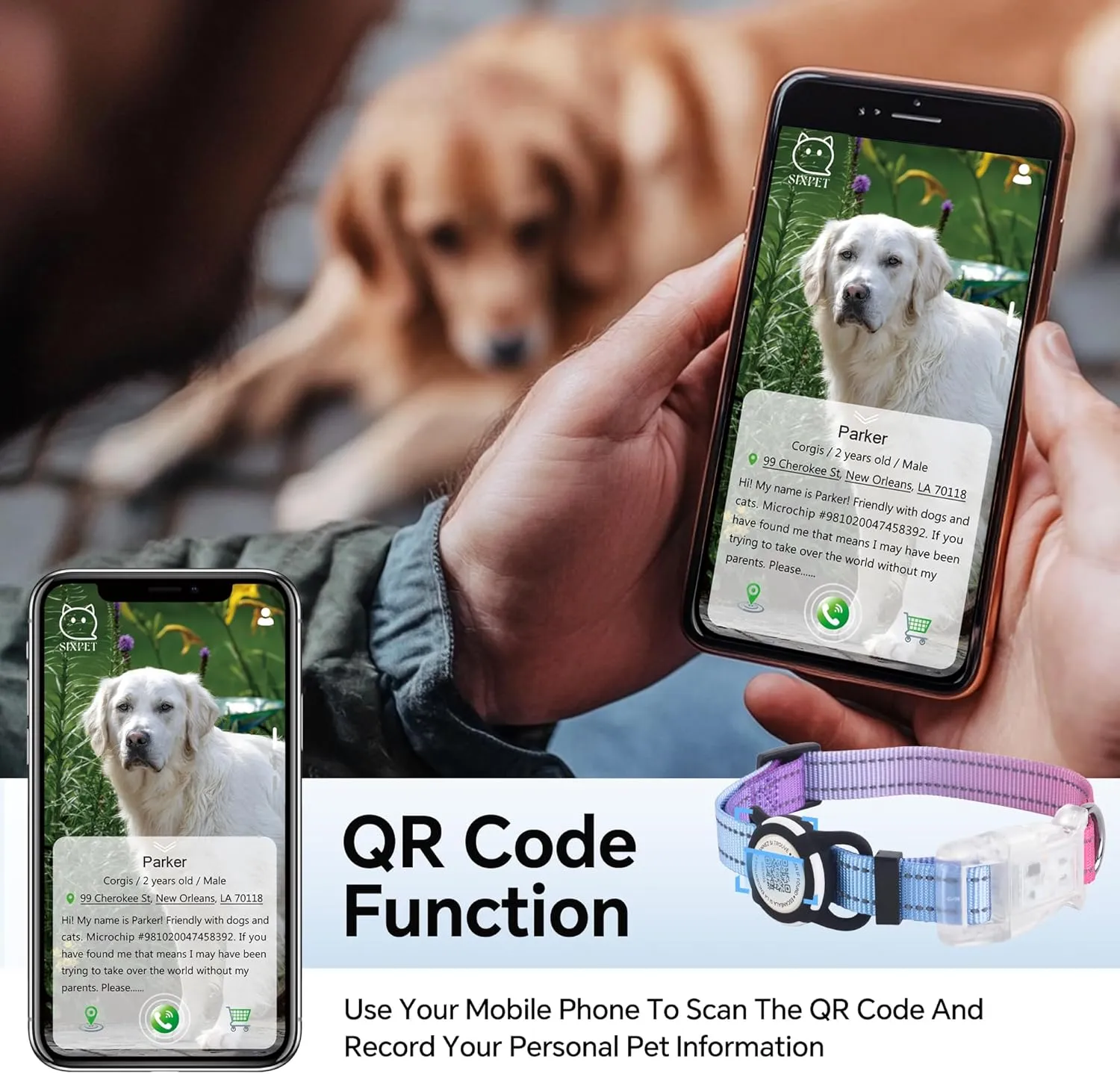 LED Smart QR Code Dog Collar - Lost at Night Collar Showing Details of Owner and pet - Durable, Adjustable, Soft - Rose red Suitable for Small, Medium and Large Dogs
