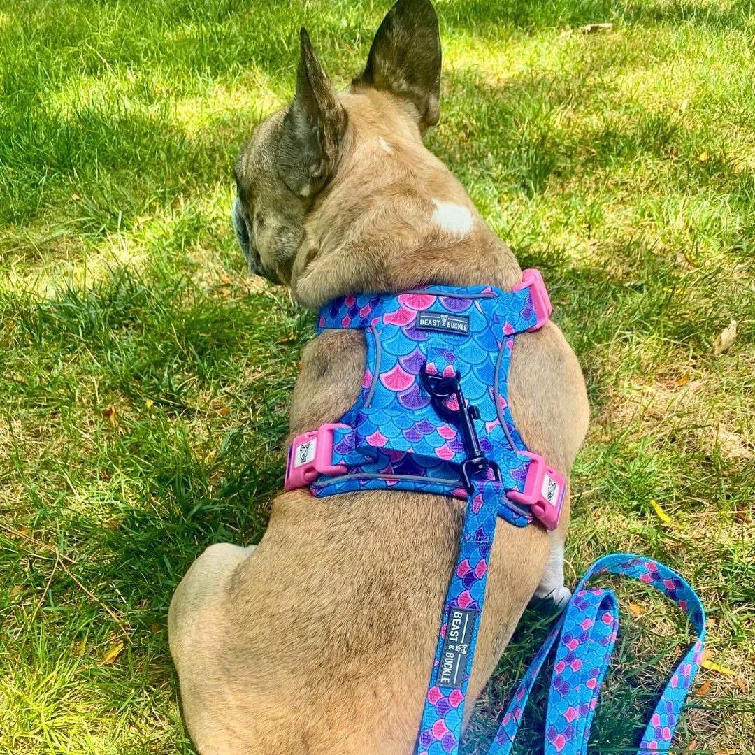 Mermaid No Pull Harness Bundle