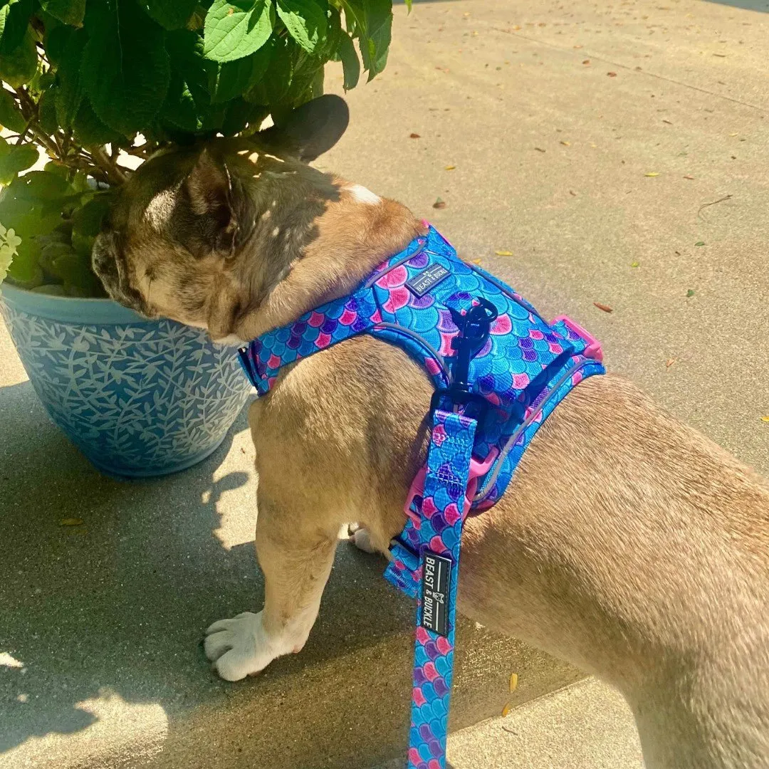 Mermaid No Pull Harness Bundle