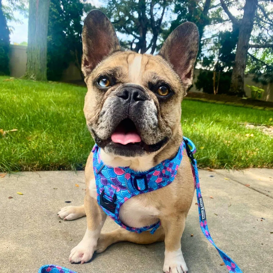 Mermaid No Pull Harness Bundle