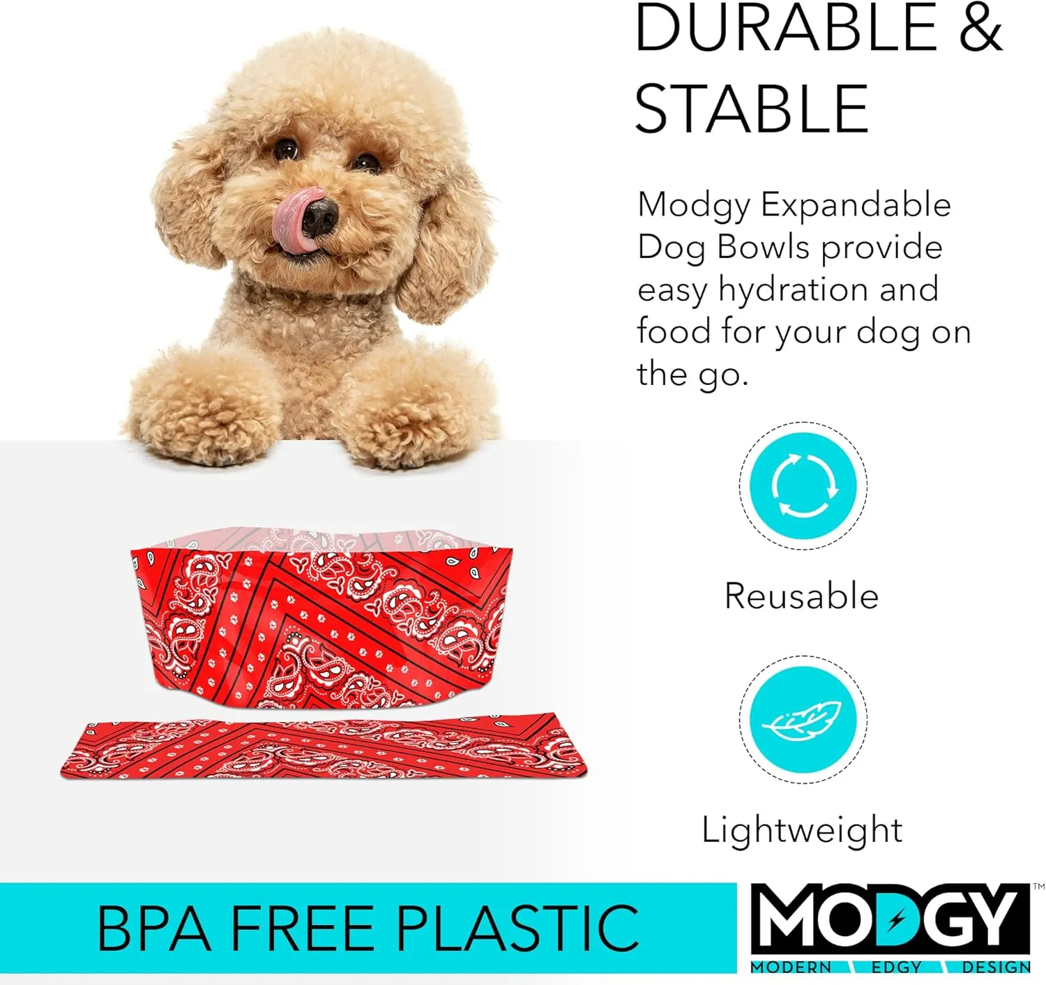 MODGY Collapsible Dog Water and Food Bowl Set, Reusable Plastic Pet Dish, Foldable Travel Size Portable Container for Camping, Hiking, Car, Road Trip Essential, 2 Pack, Dogdana