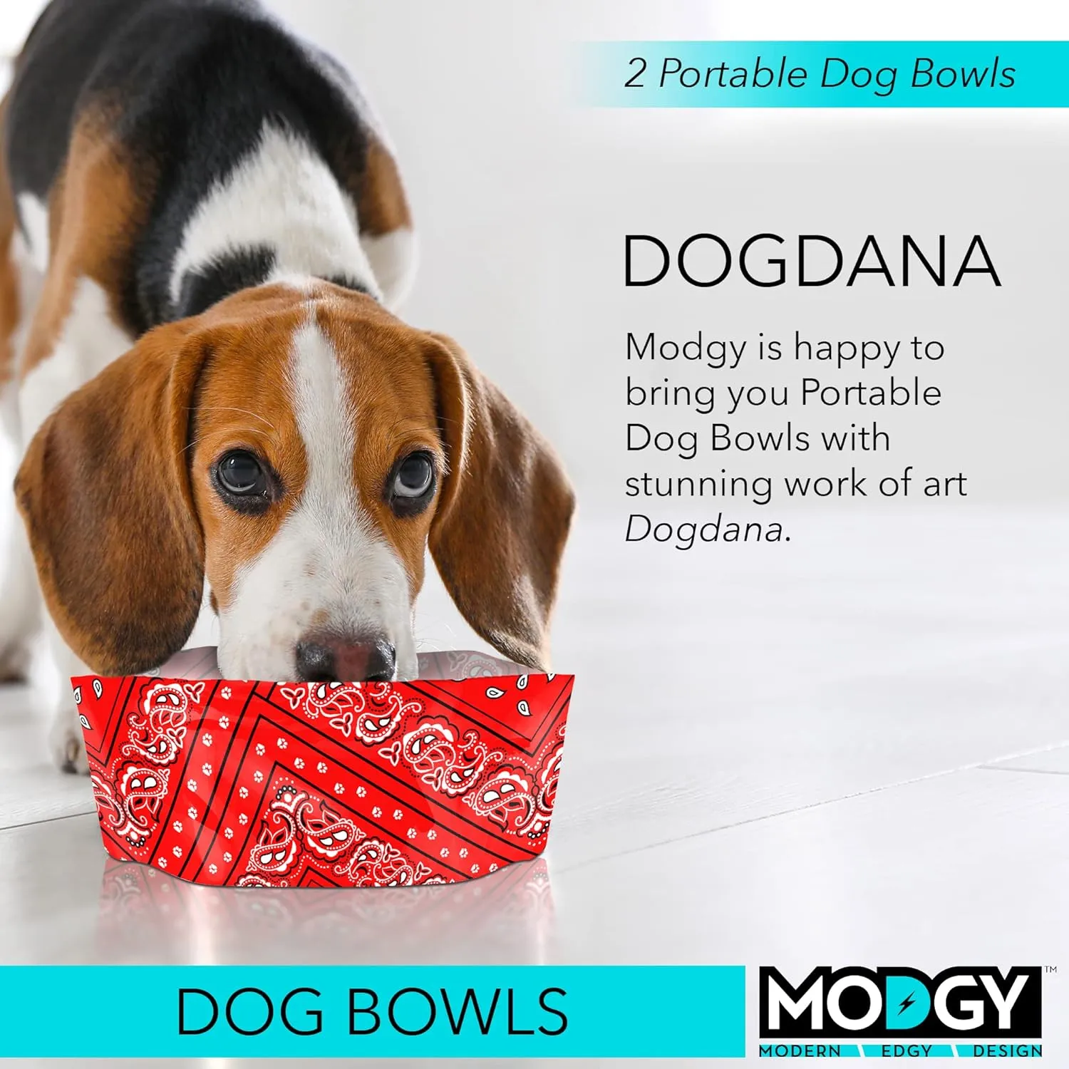 MODGY Collapsible Dog Water and Food Bowl Set, Reusable Plastic Pet Dish, Foldable Travel Size Portable Container for Camping, Hiking, Car, Road Trip Essential, 2 Pack, Dogdana