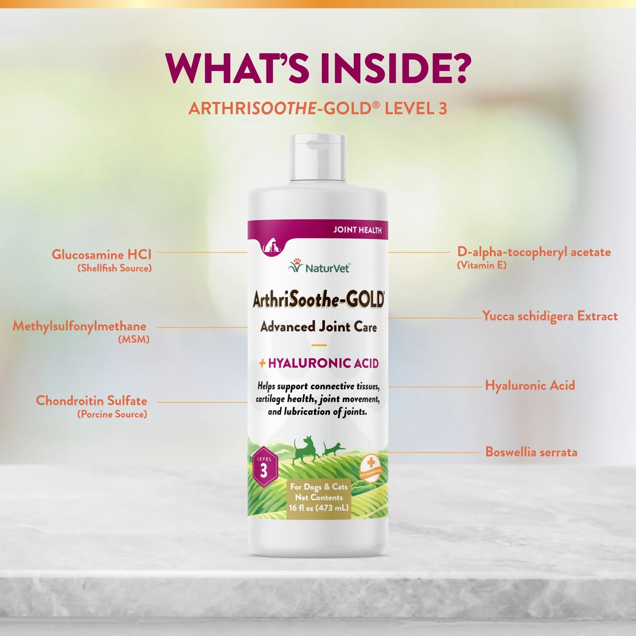NaturVet Arthrisoothe-Gold Advanced Joint Care Liquid 16oz
